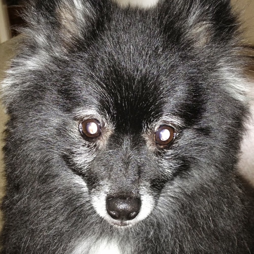 Meet your Posher, Leah